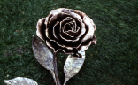 forged iron rose wedding present
